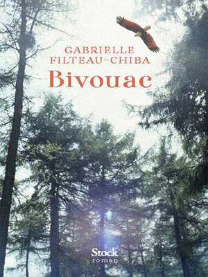 cover image of Bivouac